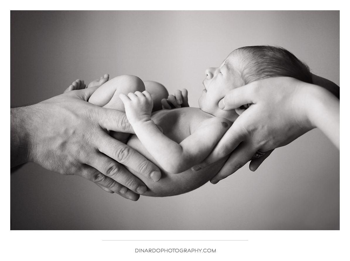 Newborn Session