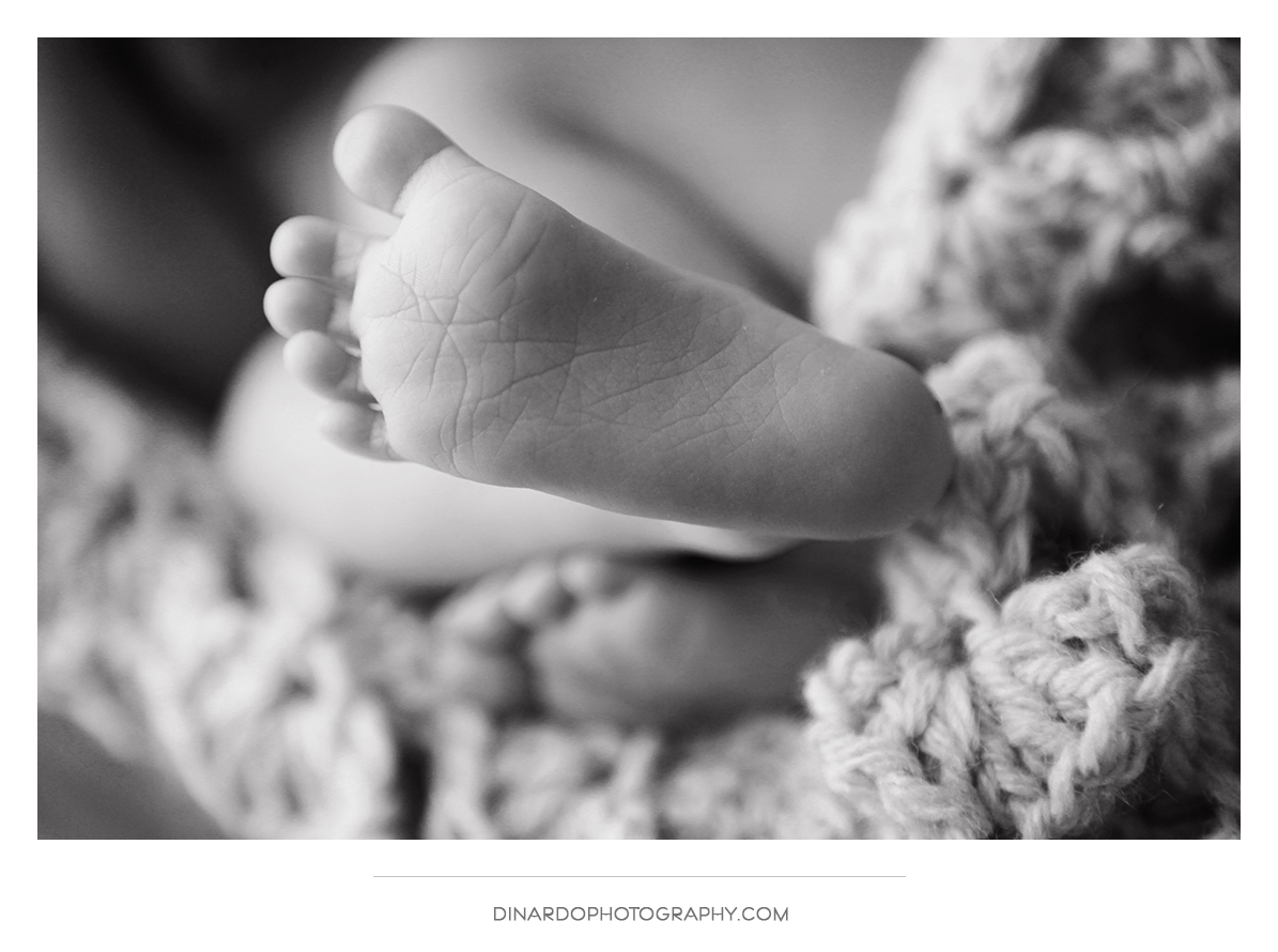 Newborn Session