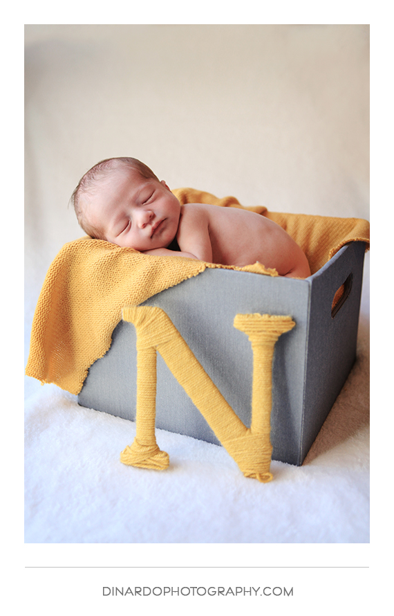 Newborn Session