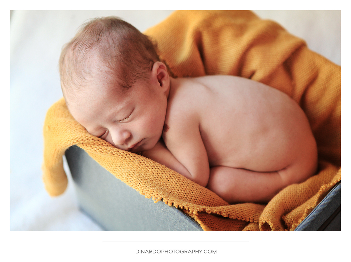 Newborn Session