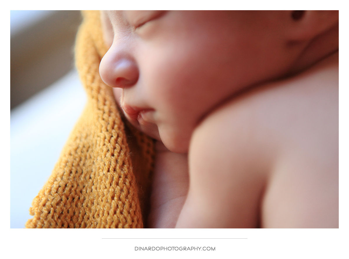 Newborn Session