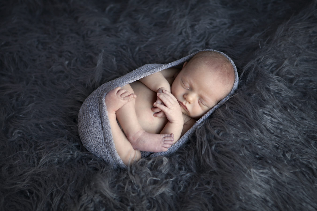 Port Orange Newborn Photographer